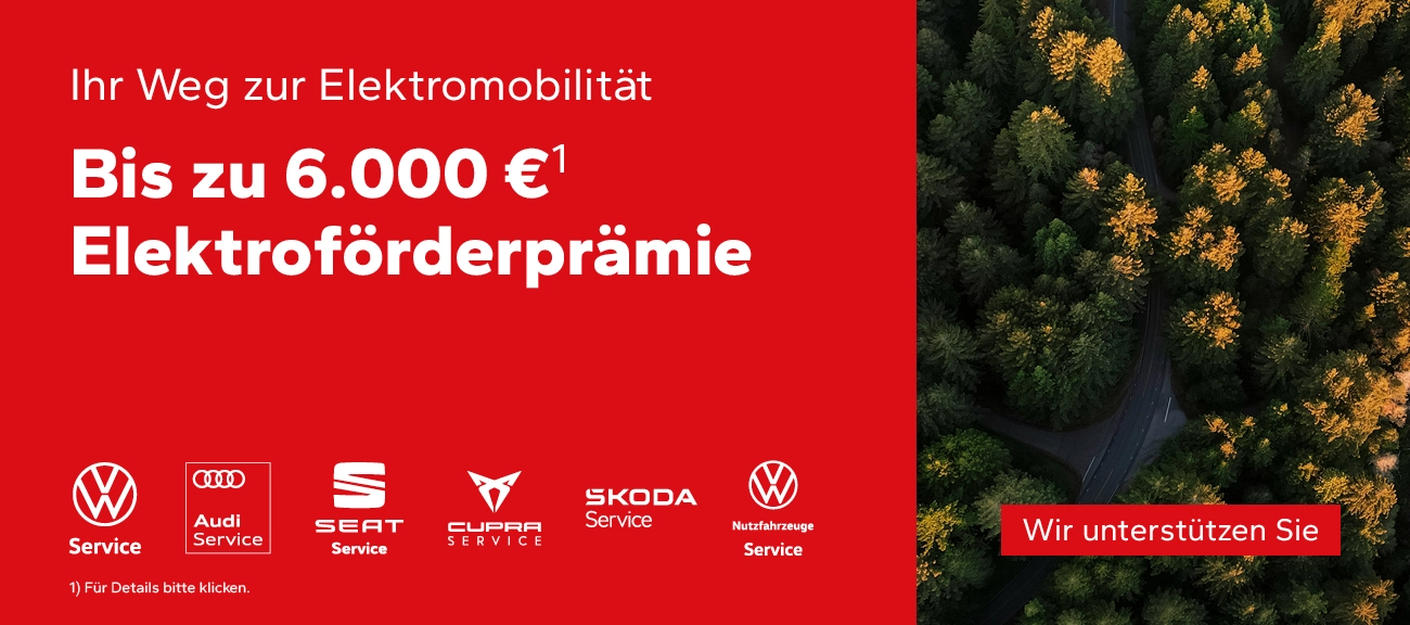 Elektro Förderprämie