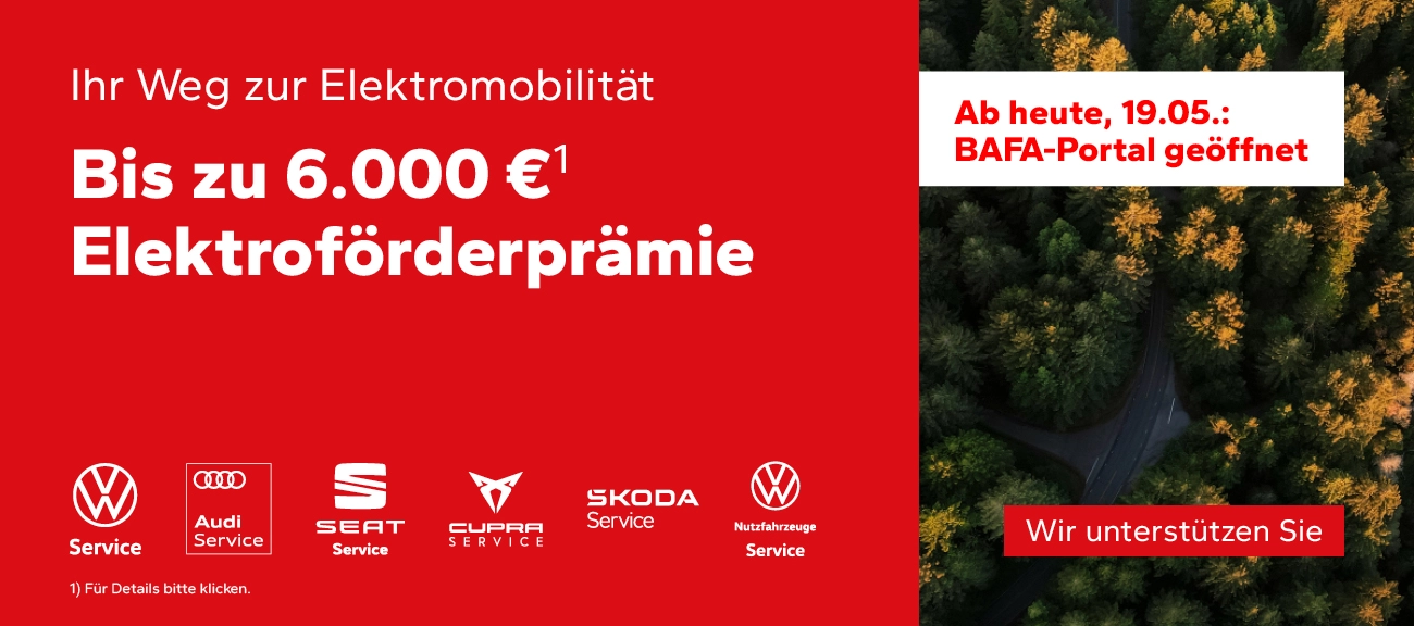 Elektro Förderprämie