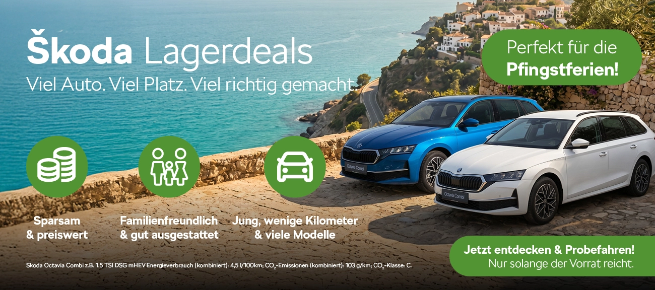 Skoda Lagerwagen