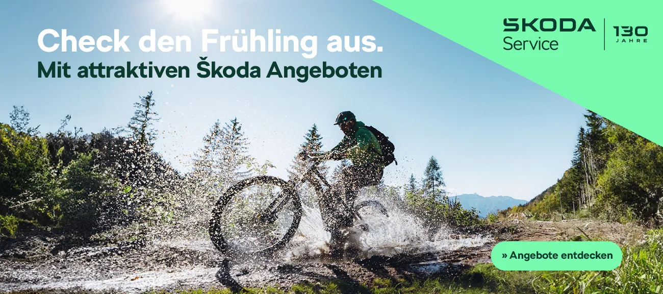 Skoda Fruehjahrs Angebote
