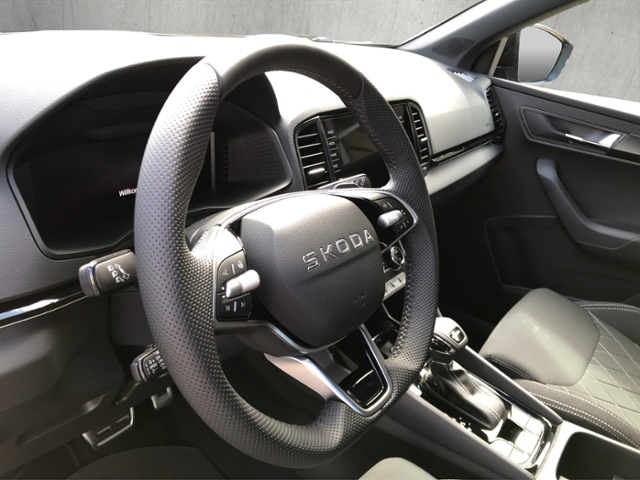 Karoq Sportline 1.5 TSI DSG*KAMERA*MATRIX*