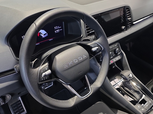 Karoq Sportline 2.0 TDI 4x4 DSG*AHK*360*