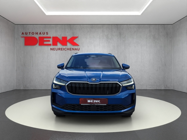 Kodiaq Selection 2.0 TDI 4x4 DSG*AHK*RFK*