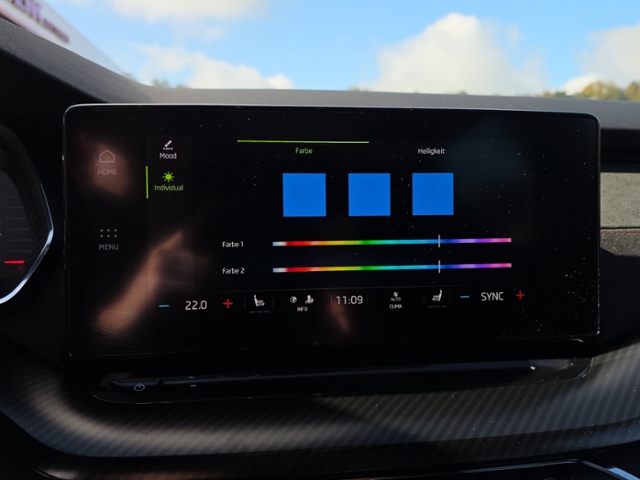 Octavia Combi 2.0 TSI RS DSG*HUD*AHK*19Z*