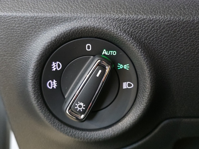 Kamiq Monte Carlo 1.5 TSI DSG*AHK*KAMERA*