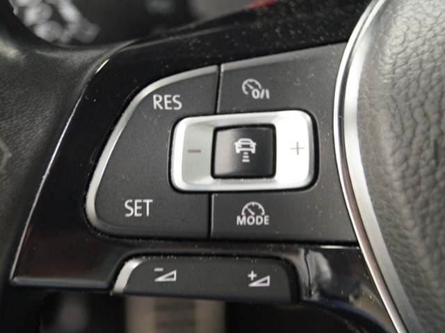 Golf VII Alltrack 2.0 TDI 4Motion*AHK*XENON