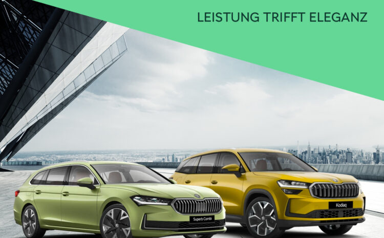  Superb & Kodiaq