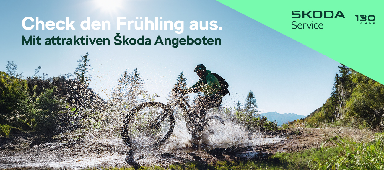 Header-Skoda-Service-Winter-2024