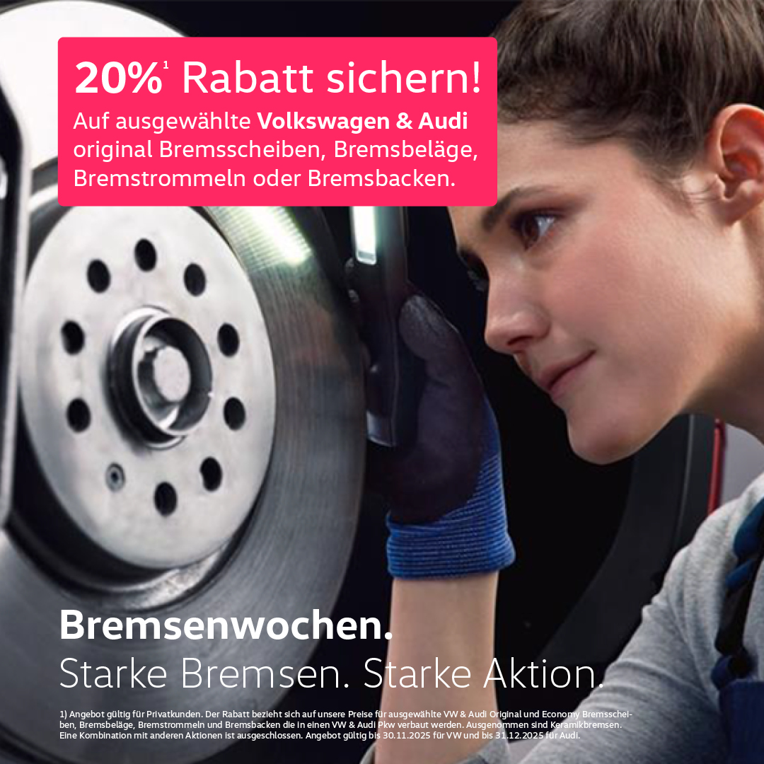 BB-VW-Audi-Bremsen-Service